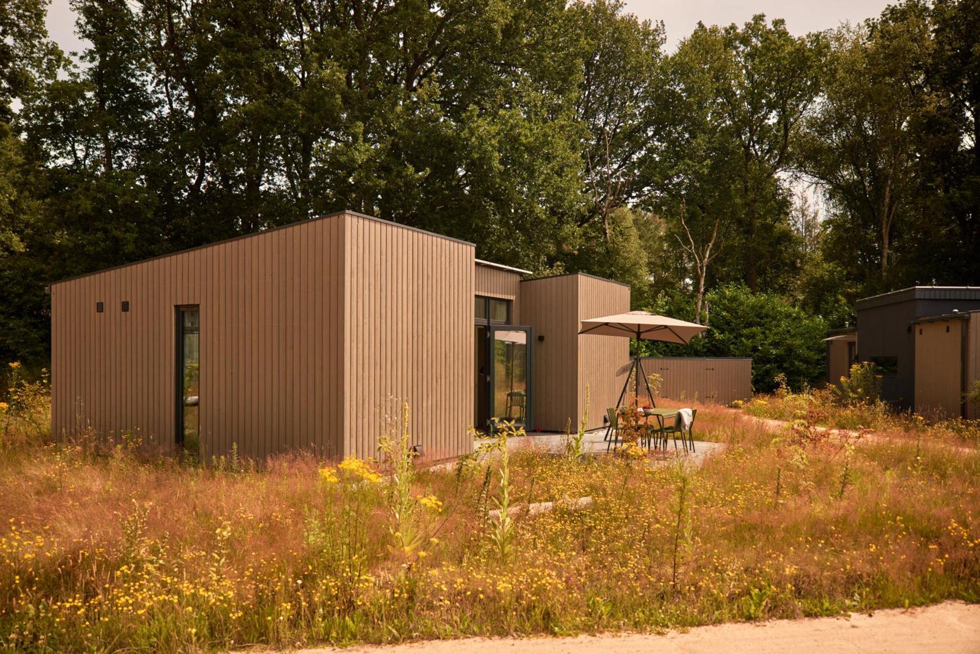 Dutchen Zeegser Duinen Suitelodges 外观 照片