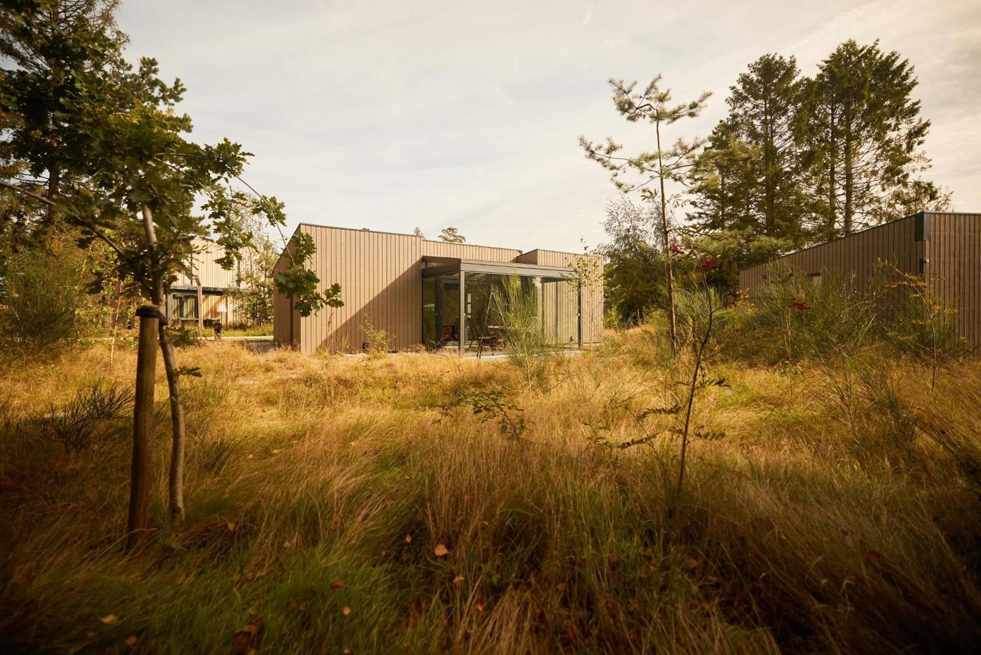 Dutchen Zeegser Duinen Suitelodges 外观 照片